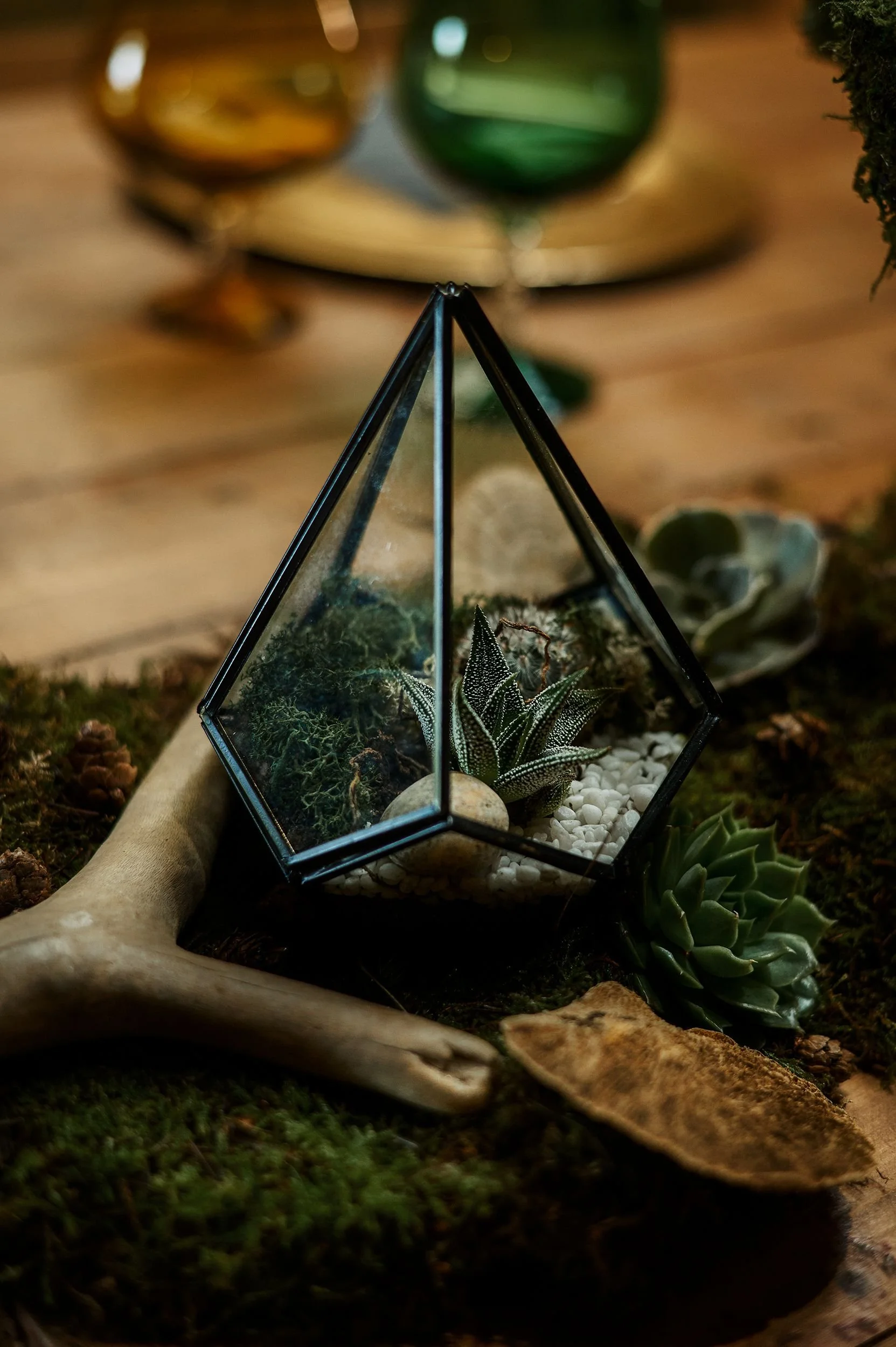 A geometric glass terrarium with succulents, moss, and small white stones inside, resting on a piece of wood on a mossy surface with dried leaves nearby.