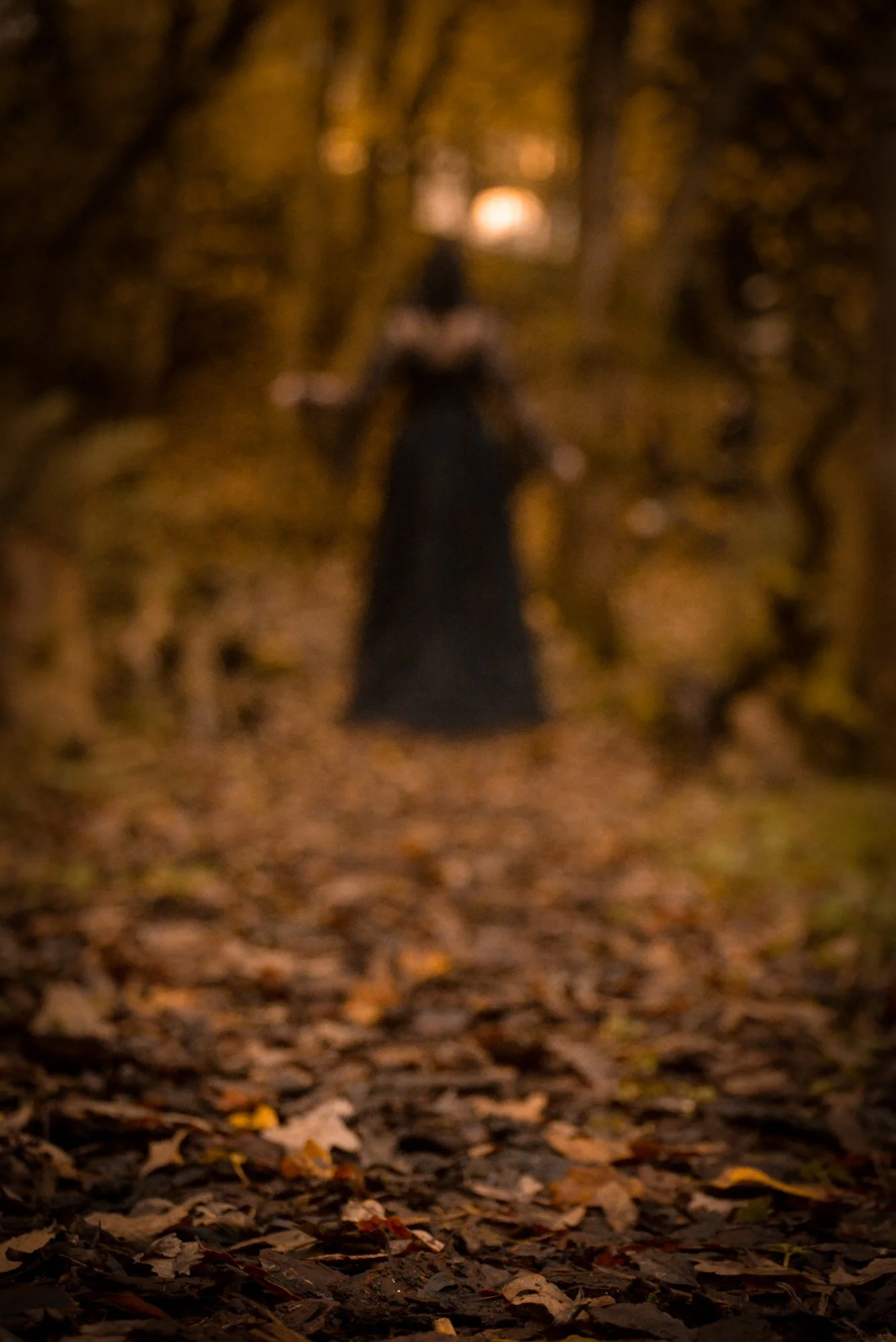 A blurred figure of a woman in a black dress standing in a wooded area with fallen autumn leaves on the ground and trees with yellow and orange leaves.