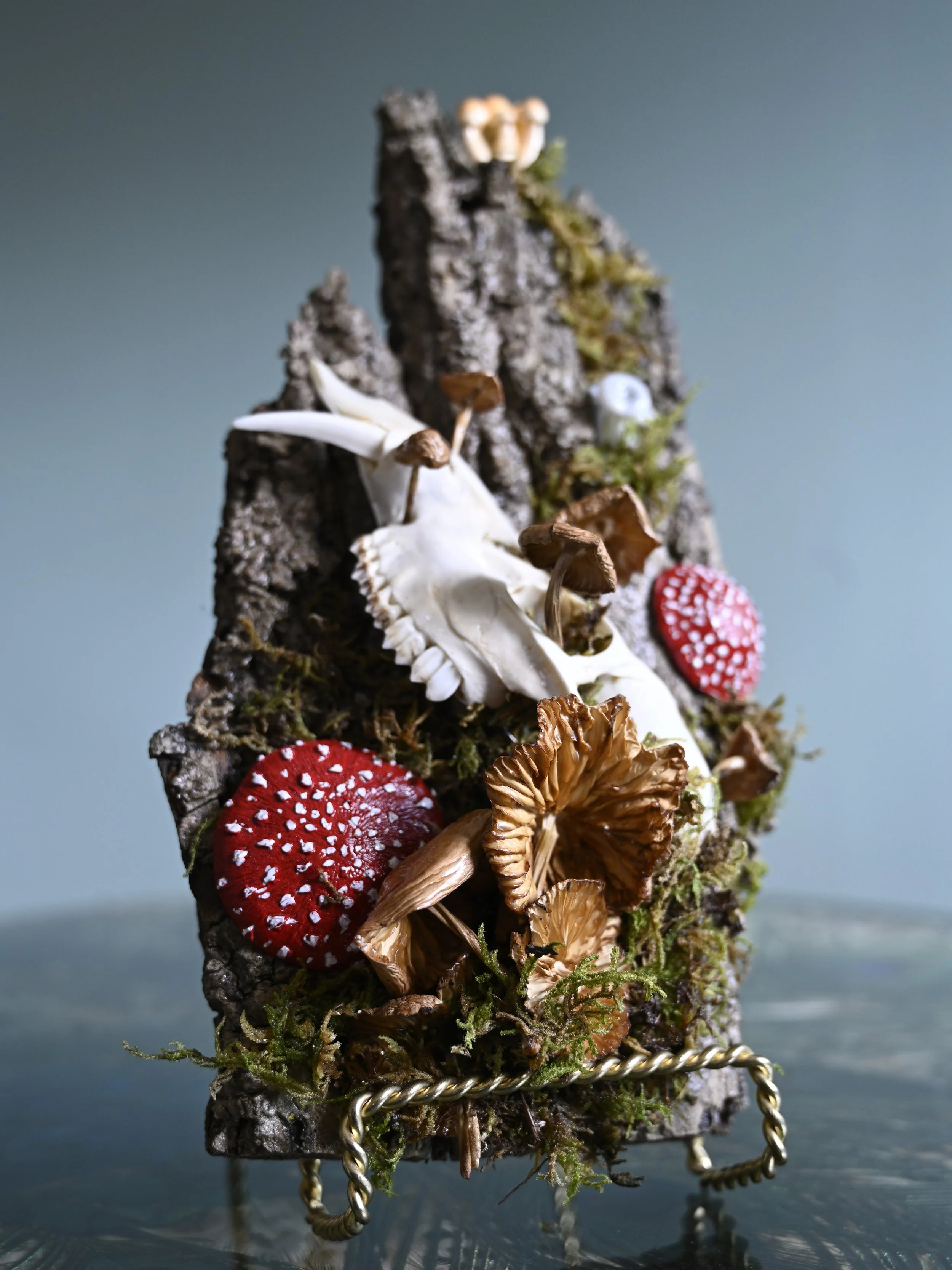 A vertical arrangement of various mushrooms and fungi on a textured bark base with moss and red, white-spotted, and other mushrooms, mounted on a metal stand.