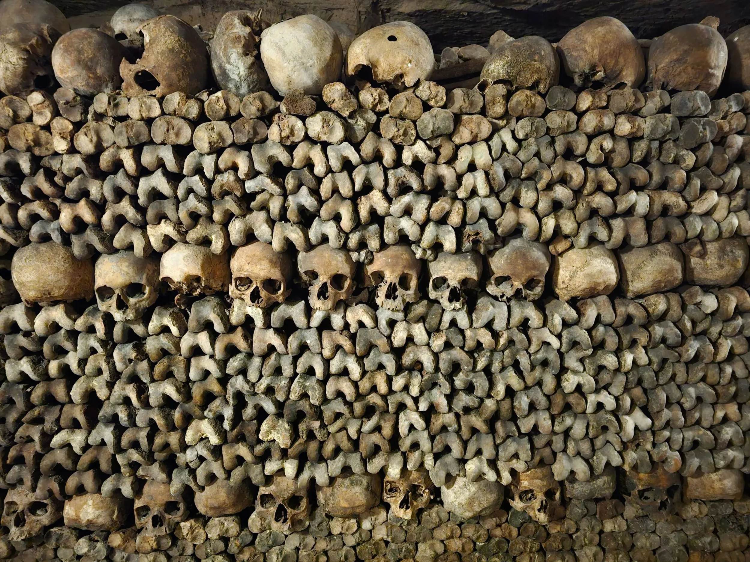 Wall of bones and rows of skulls
