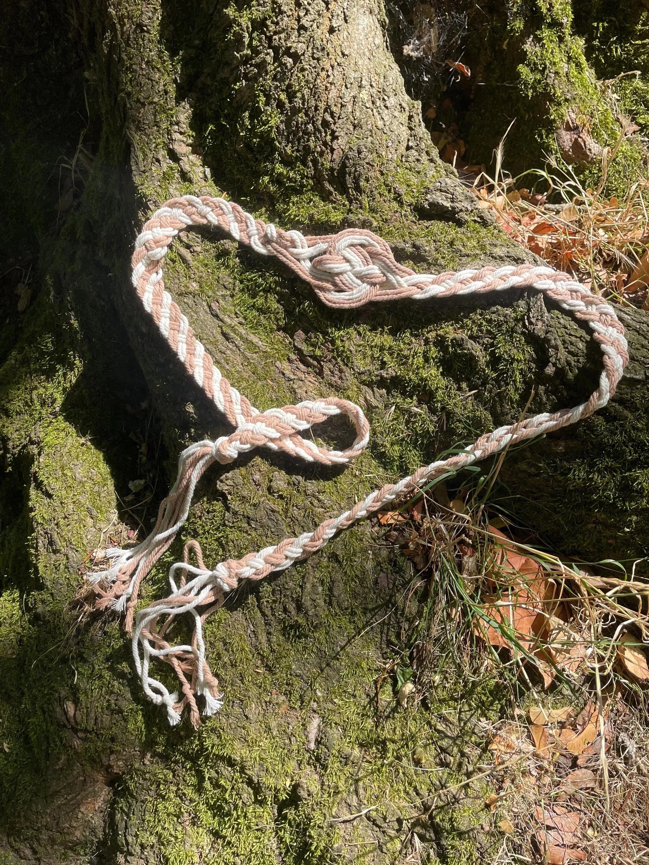 A knotted rope lying on the moss-covered base of a tree in a forest.
