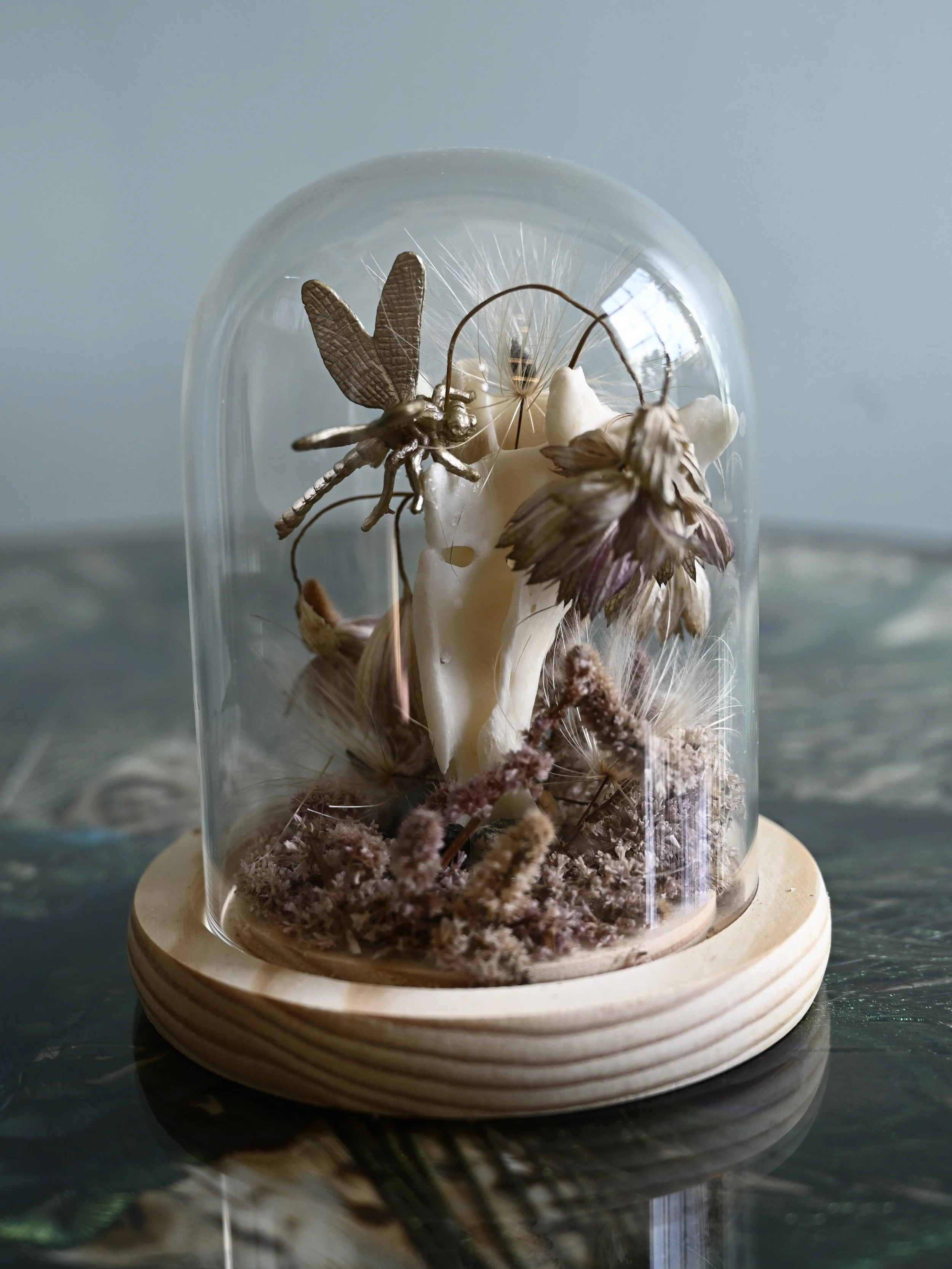 A glass dome containing dried plants, a butterfly, and a small insect, set on a round wooden base.