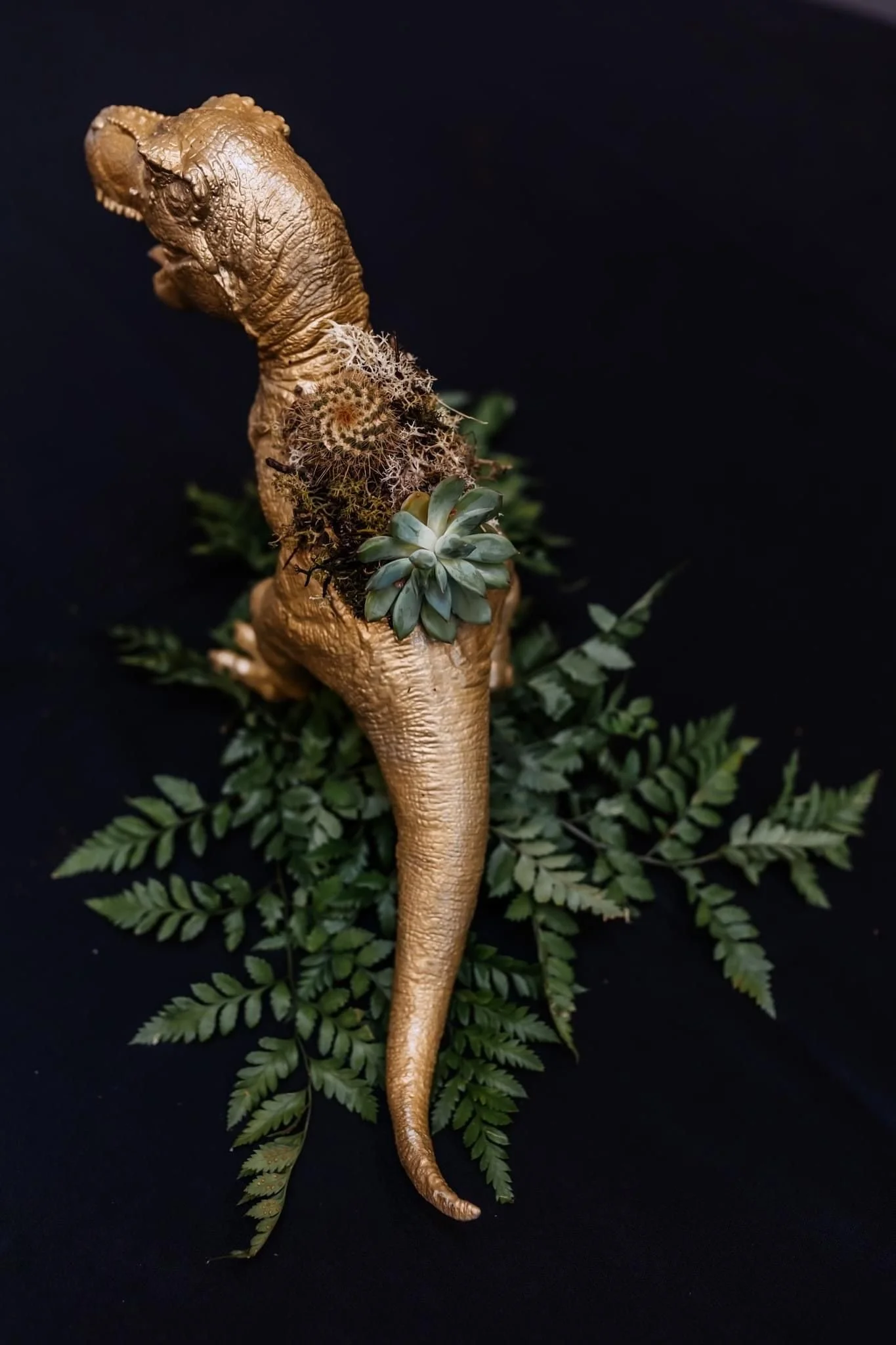 A gold-colored dinosaur fossil with plants and succulents arranged on it, placed on a black background.