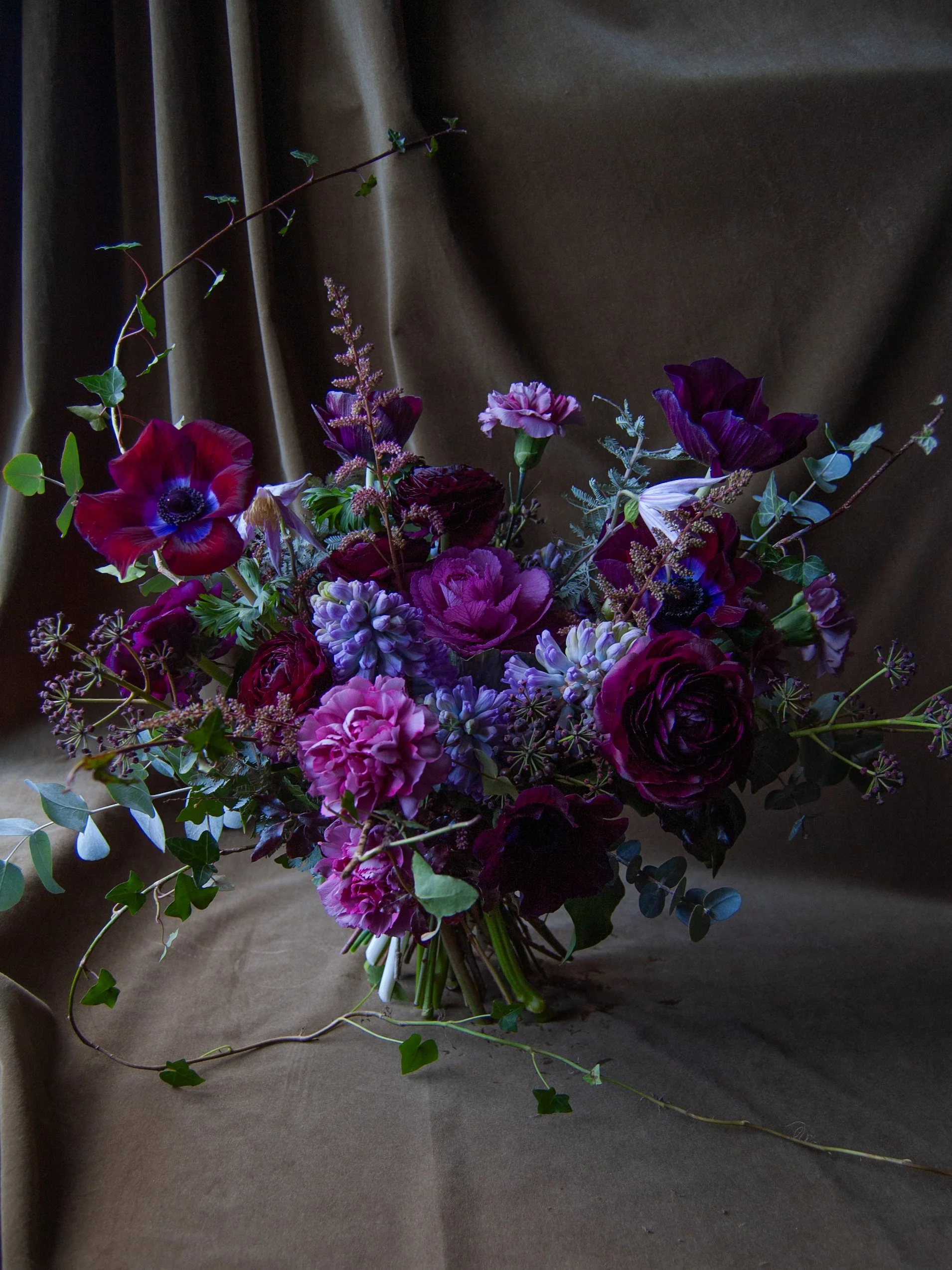 Moorland Blooms DSC_2428+(1).jpg