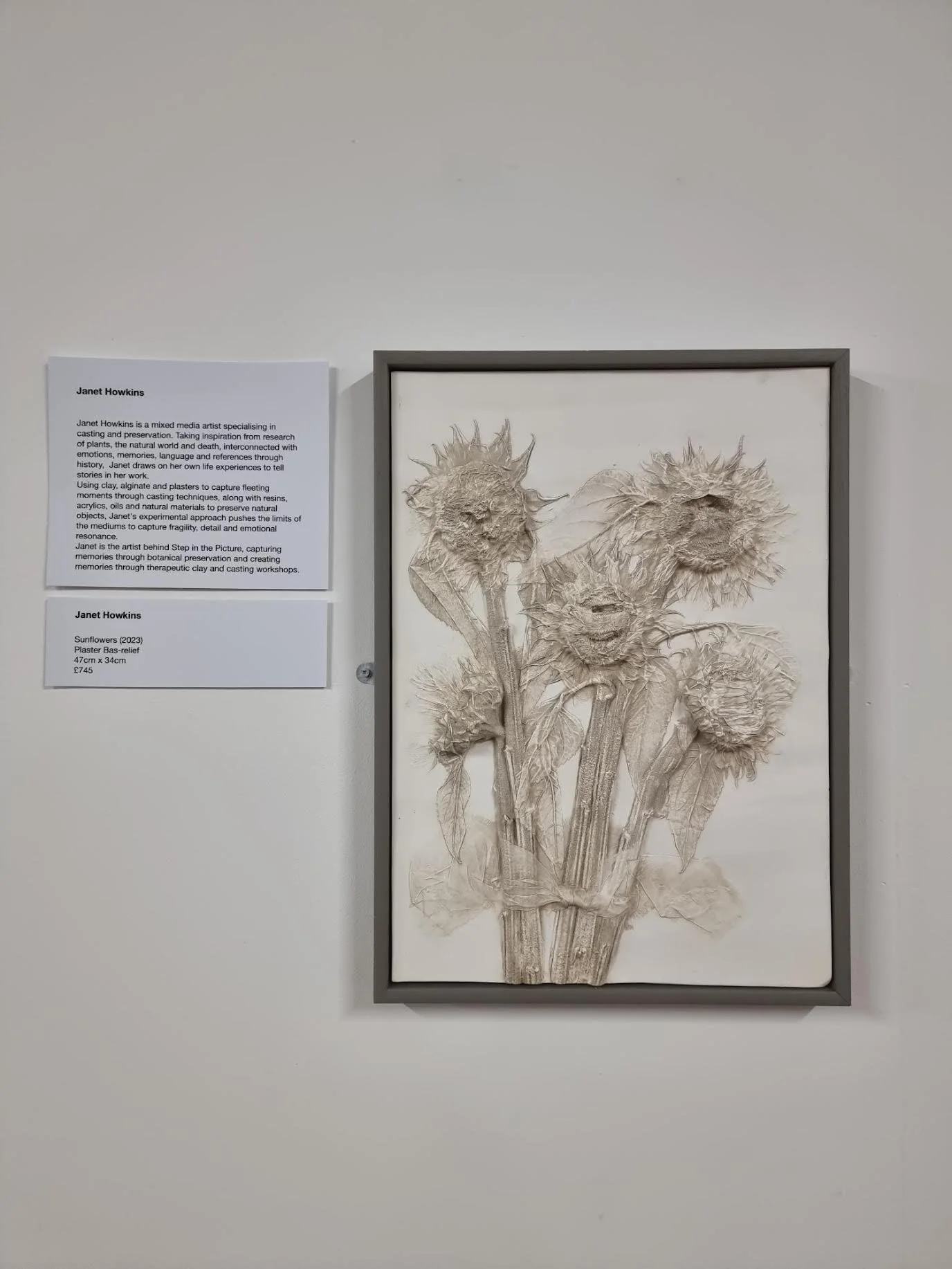 A framed artwork depicting a detailed paper cast of sunflower flowers and stems, displayed on a white wall with a descriptive placard beside it.