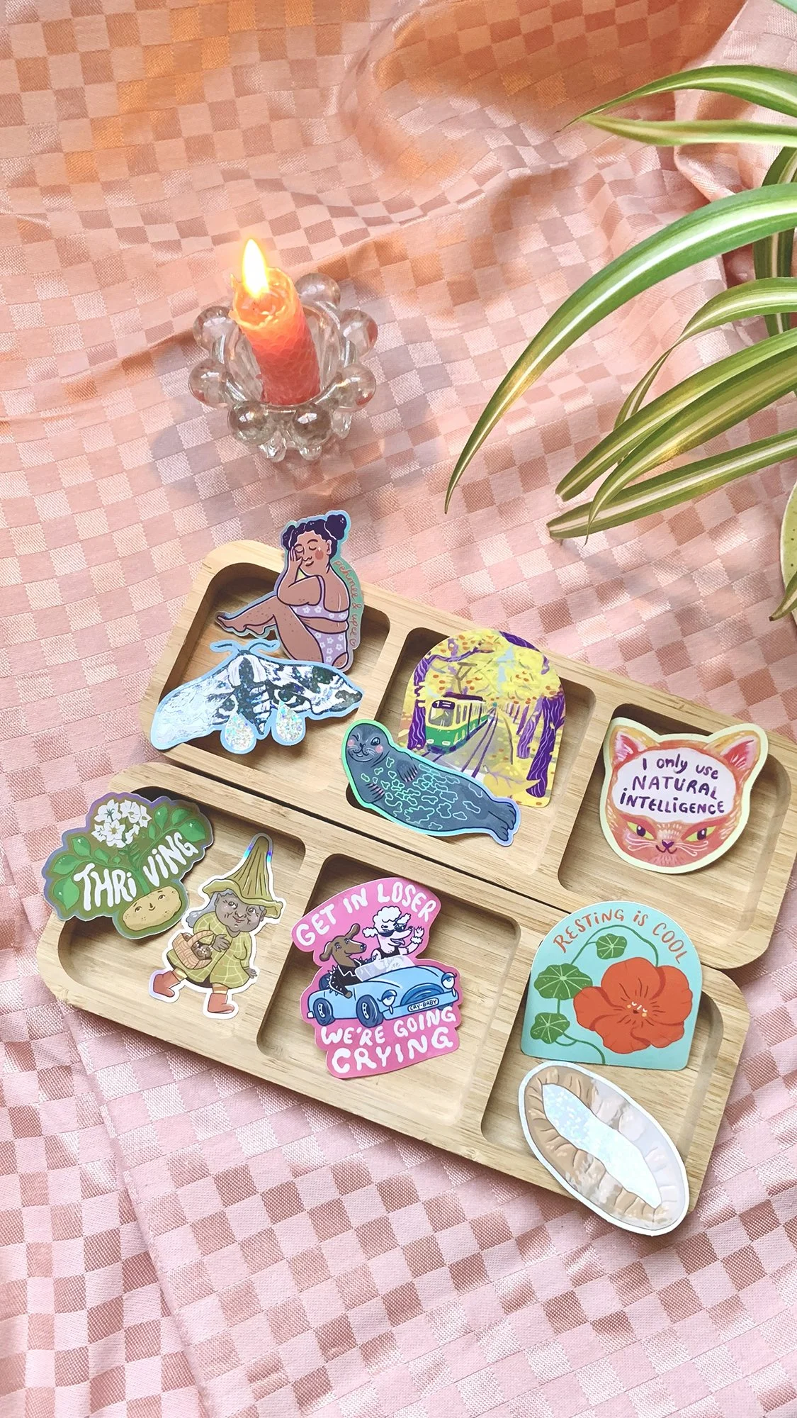 Puisella pohjalla on tarroja, joissa on monta erilaista hauskaa tai inspiroivaa sanomaa tai kuvaa.