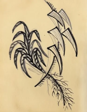 Inky floral illustration used in the Liora lexicon section of the Conversarium.