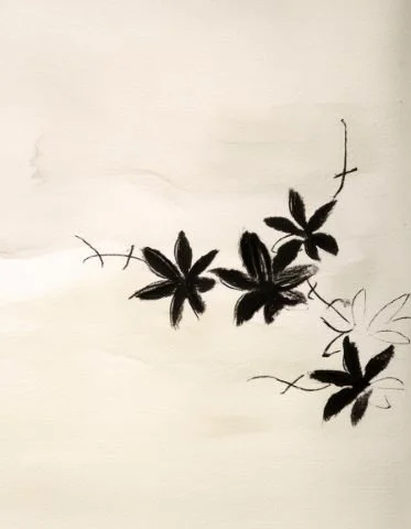 Inky floral illustration used in the Liora lexicon section of the Conversarium.