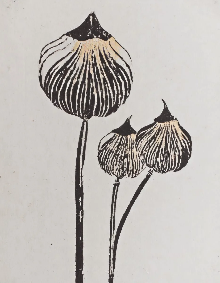 Inky floral illustration used in the Liora lexicon section of the Conversarium.