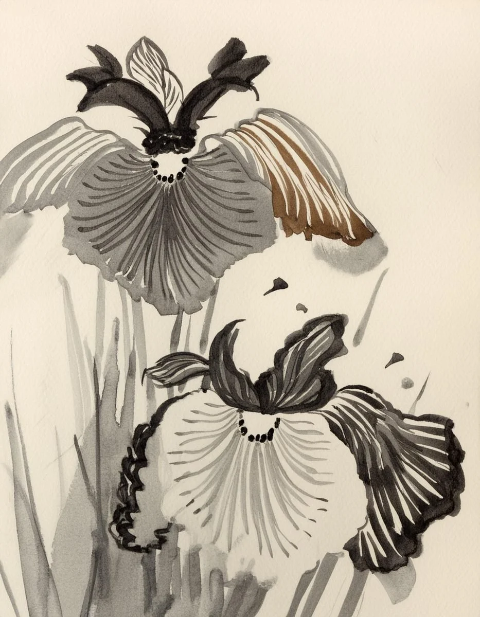 Inky floral illustration used in the Liora lexicon section of the Conversarium.