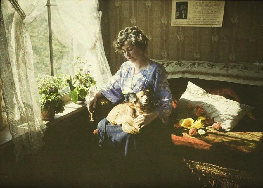 vintage photagraph of a woman sitting in a sunlit chair with a dog in her lap