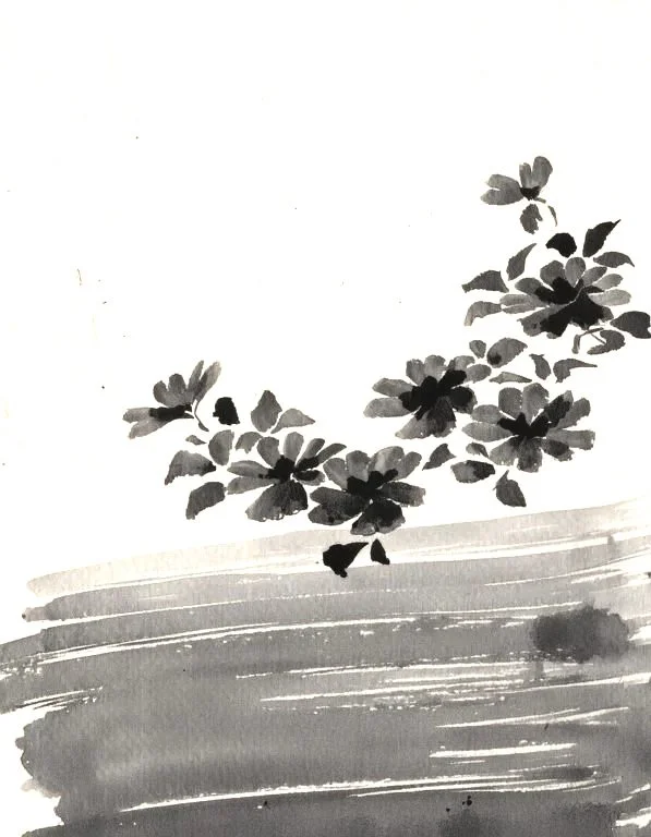 Inky floral illustration used in the Liora lexicon section of the Conversarium.
