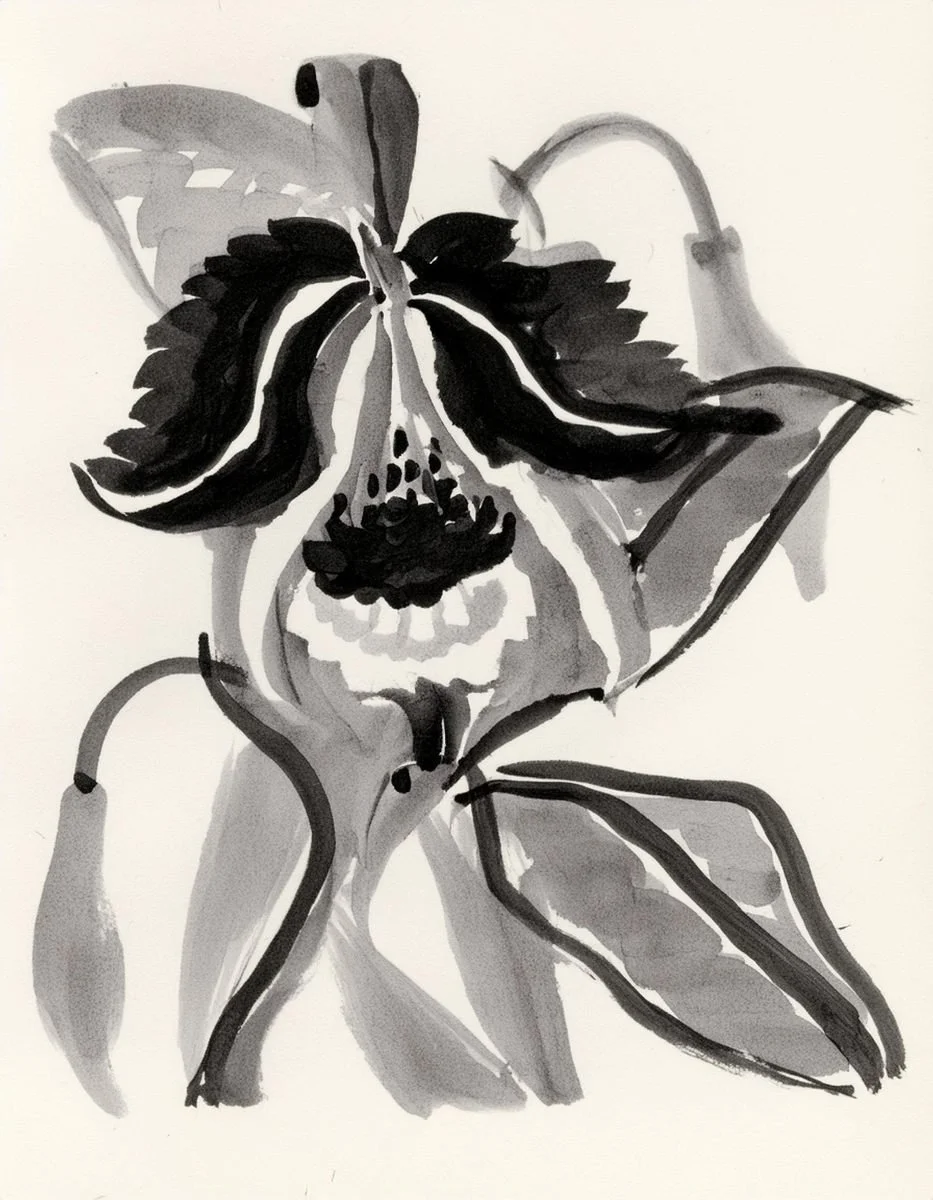 Inky floral illustration used in the Liora lexicon section of the Conversarium.