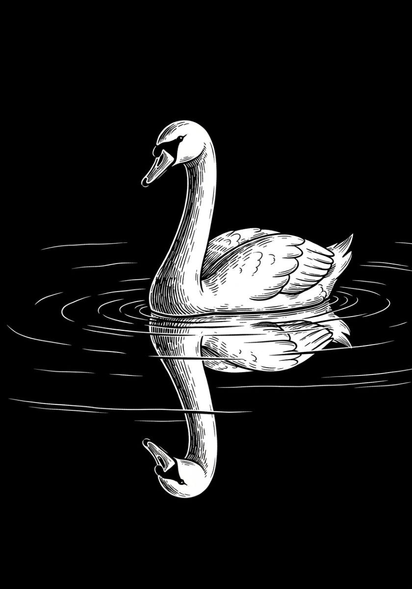 Illustration of a swan floating on still water with its reflection mirrored below.
