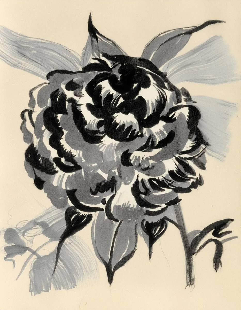 Inky floral illustration used in the Liora lexicon section of the Conversarium.