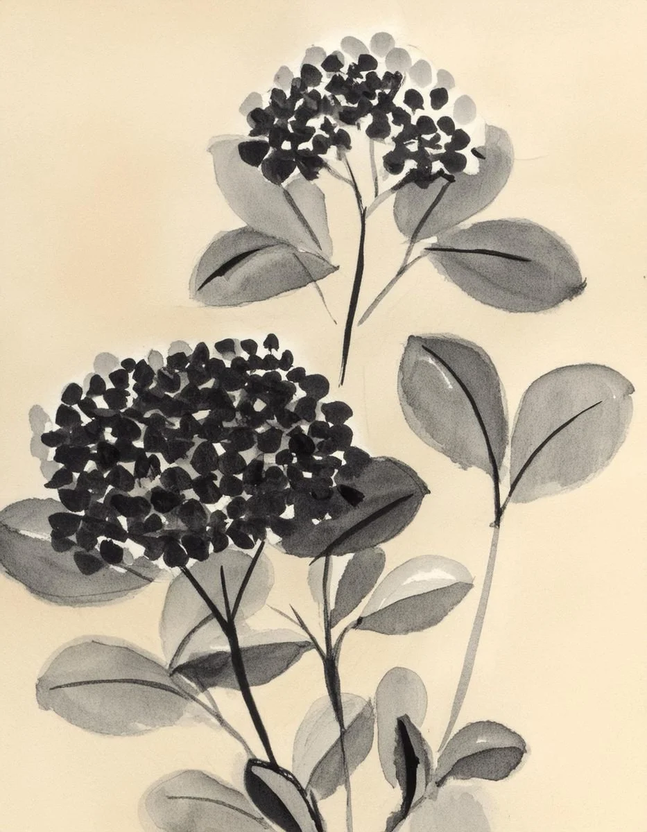 Inky floral illustration used in the Liora lexicon section of the Conversarium.