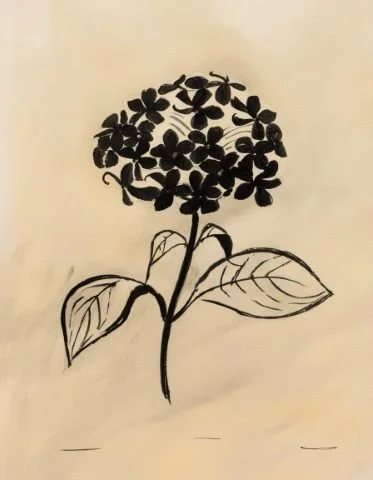 Inky floral illustration used in the Liora lexicon section of the Conversarium.