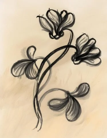 Inky floral illustration used in the Liora lexicon section of the Conversarium.