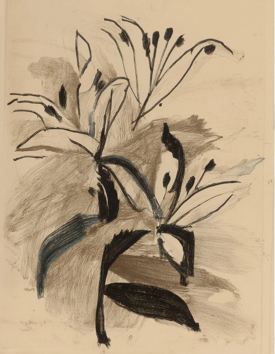 Inky floral illustration used in the Liora lexicon section of the Conversarium.