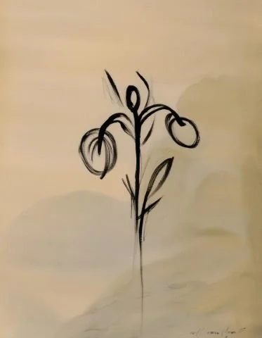 Inky floral illustration used in the Liora lexicon section of the Conversarium.