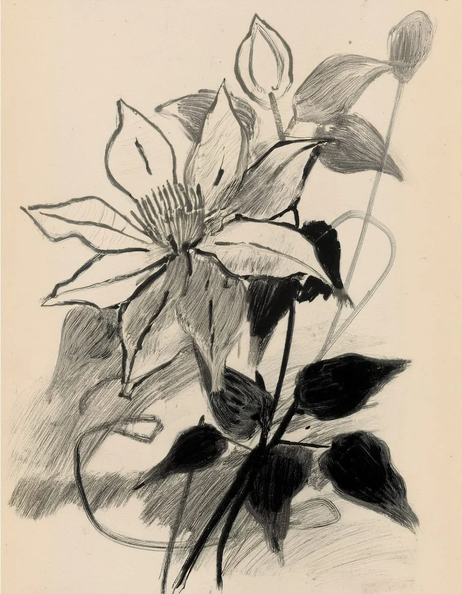 Floral illustration used in the Liora language section of the Conversarium.