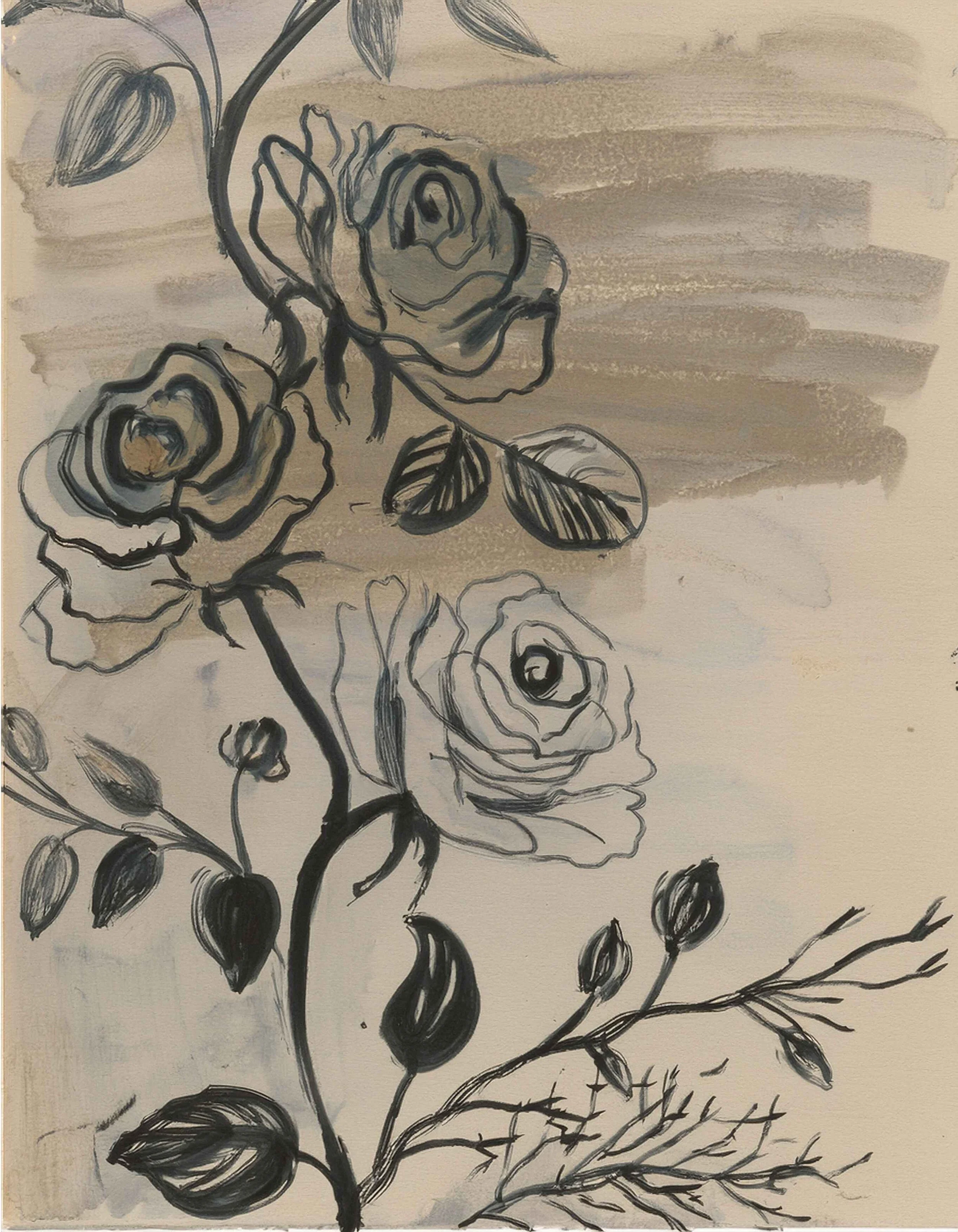 Inky floral illustration used in the Liora lexicon section of the Conversarium.