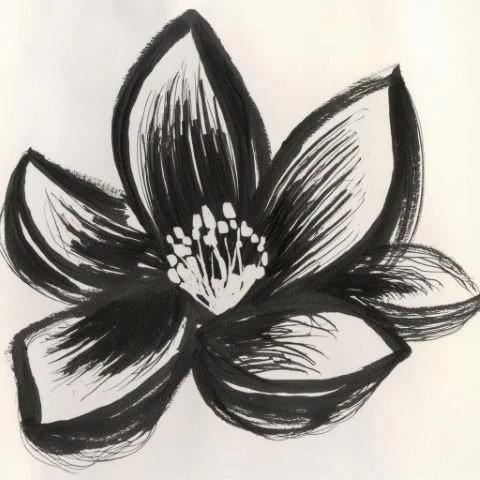 Inky floral illustration used in the Liora lexicon section of the Conversarium.
