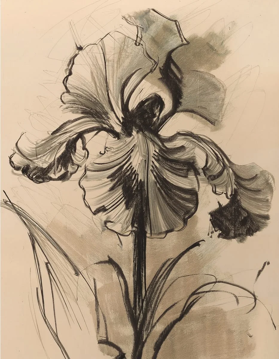 Inky floral illustration used in the Liora lexicon section of the Conversarium.