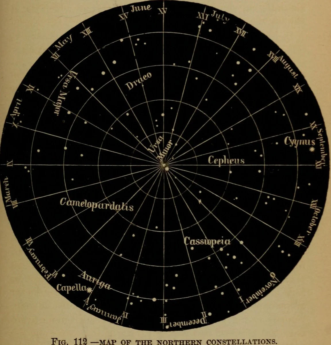 A star map displaying the northern constellations, including Cepheus, Cassiopeia, Camelopardalis, Draco, Auriga, and others against a black background with labeled constellations and stars.