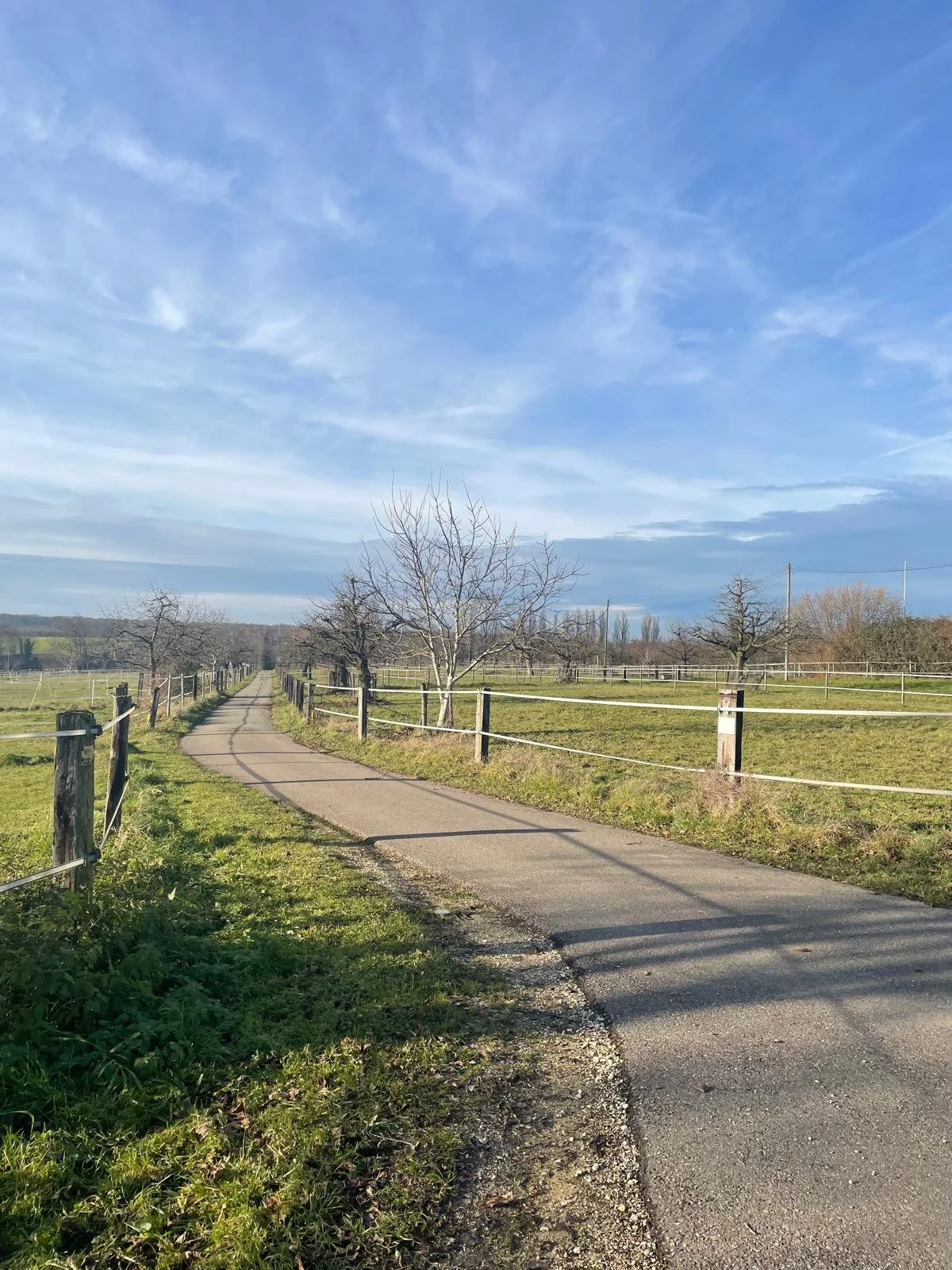 Дорога, яка вміє чекати.jpg