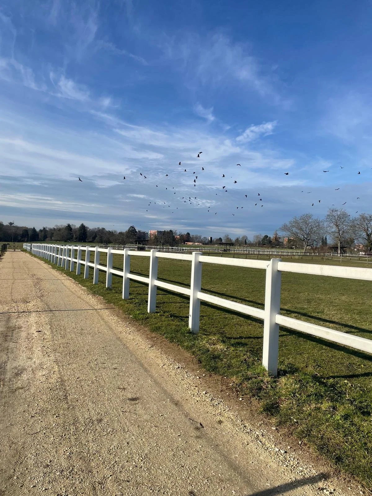 Там, де небо навчає свободі.jpg