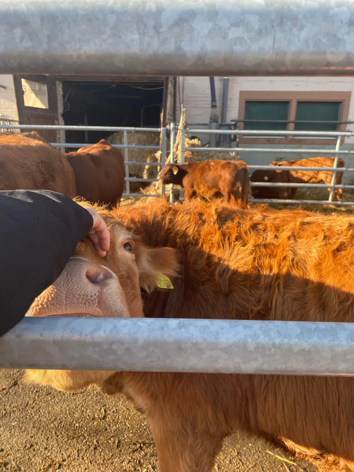 Дотик, який розмовляє без слів.jpg