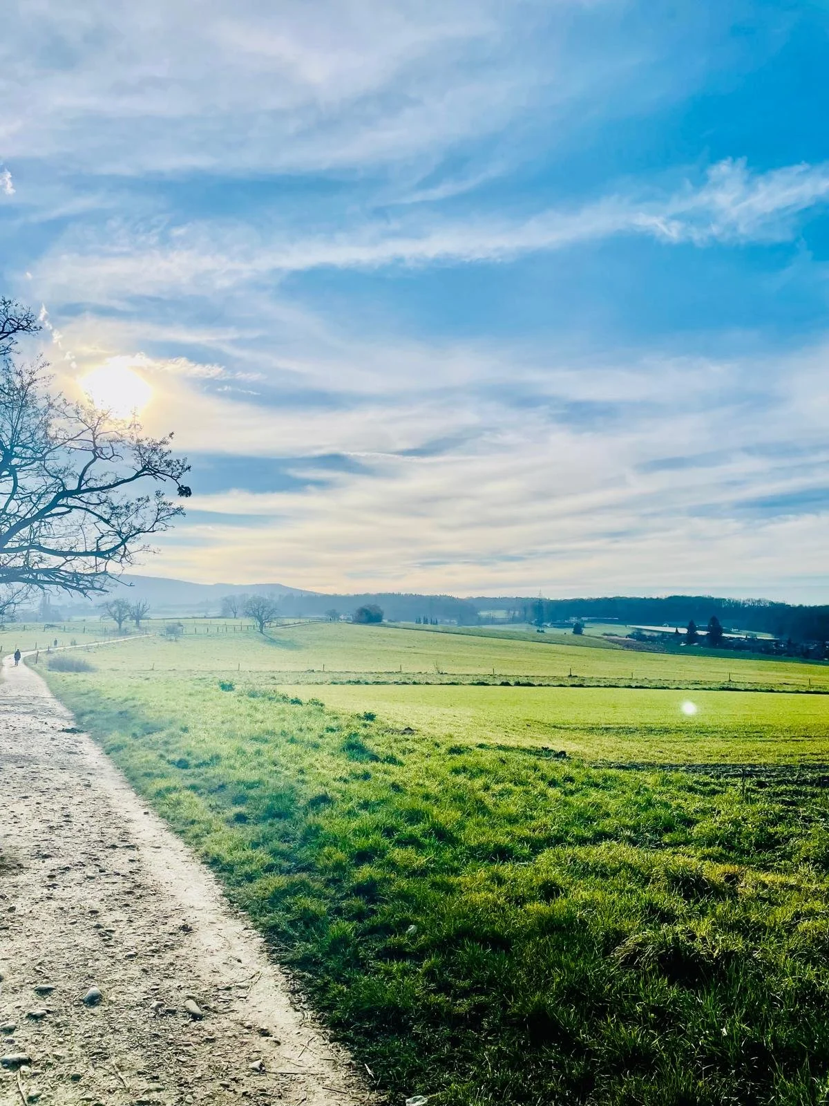 Зима, що світиться дорогою (Базель).jpeg