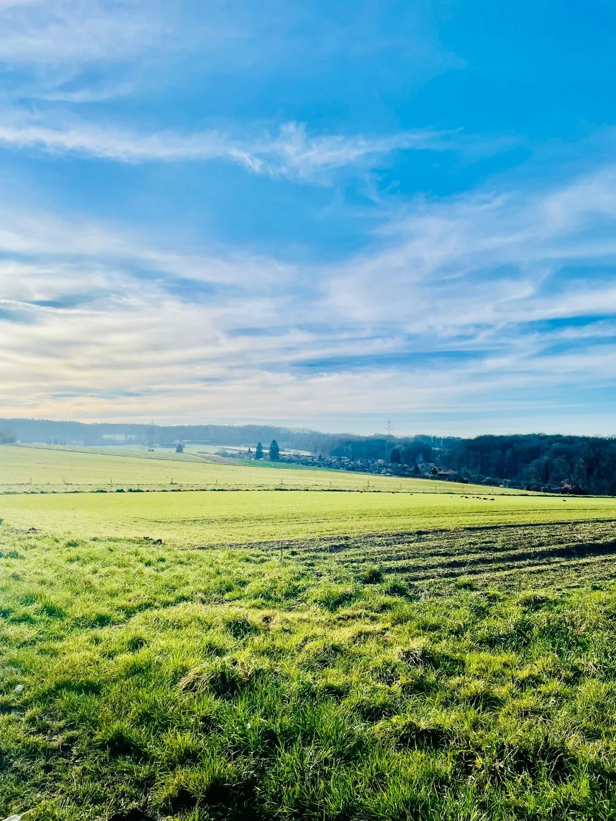 Зима, що тримає простір.jpeg