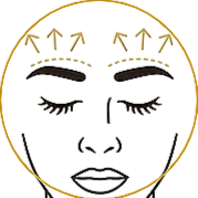 Facial points, with arrows indicating upward lift for Brows.