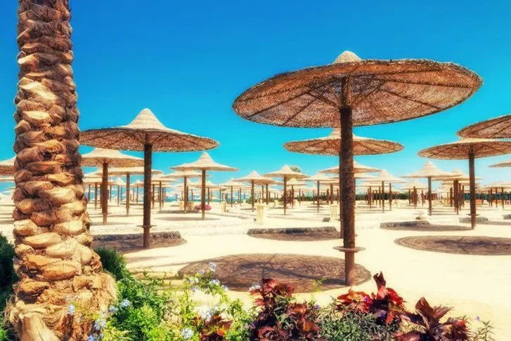 Beach scene with multiple straw umbrellas and palm trees, no people visible.