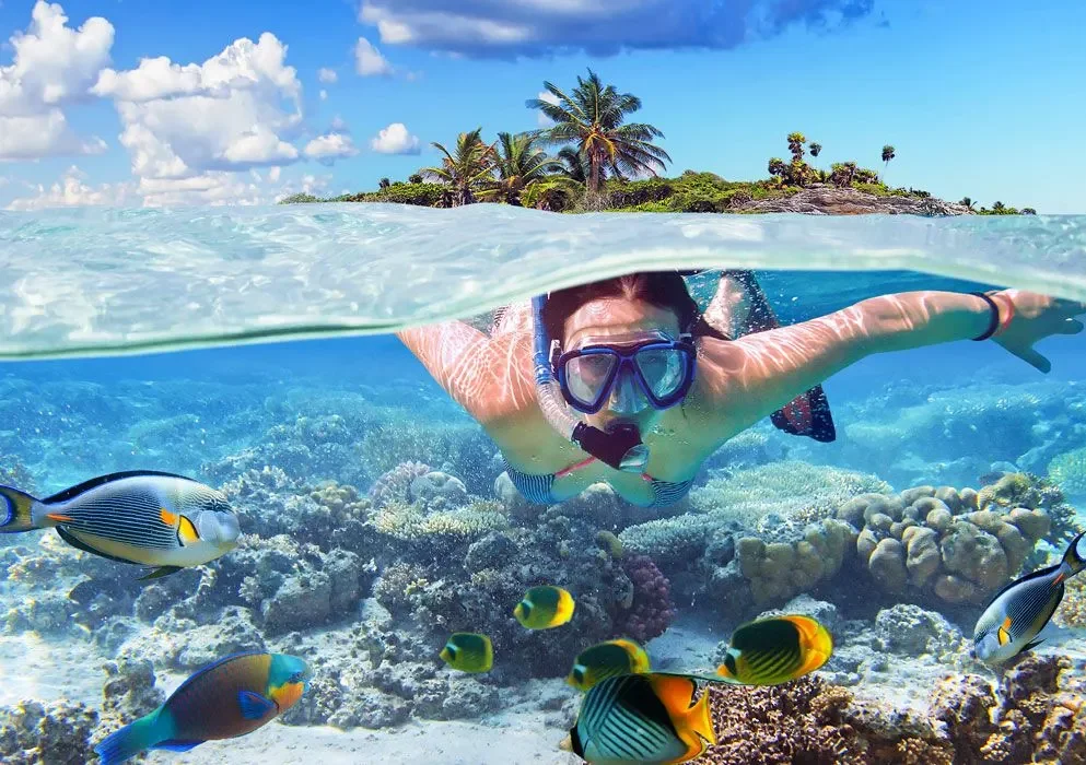 Woman snorkeling in clear ocean waters with colorful fish and a tropical island in the background.