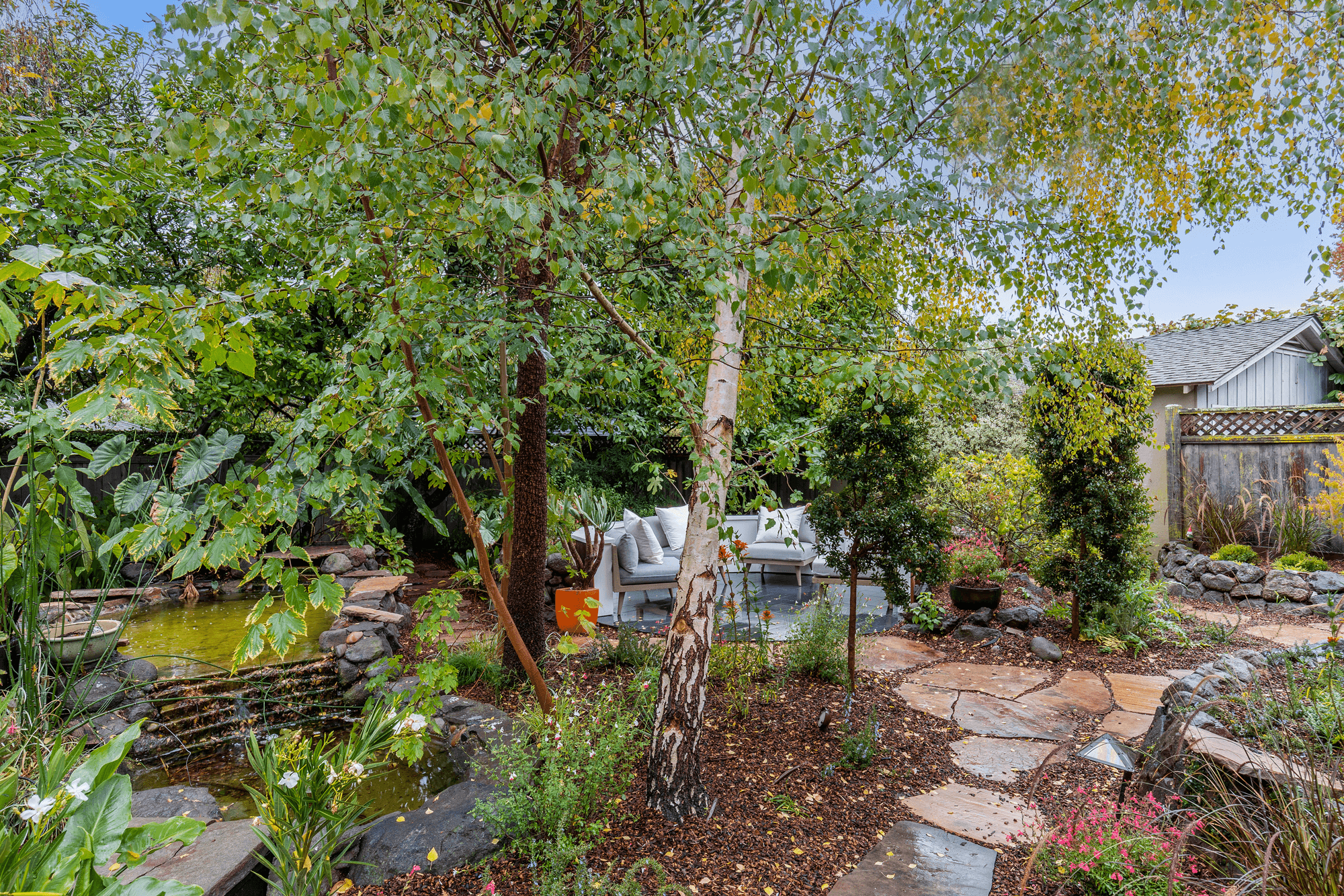 mindframe-portfolio-818-seale-trees-landscape.png