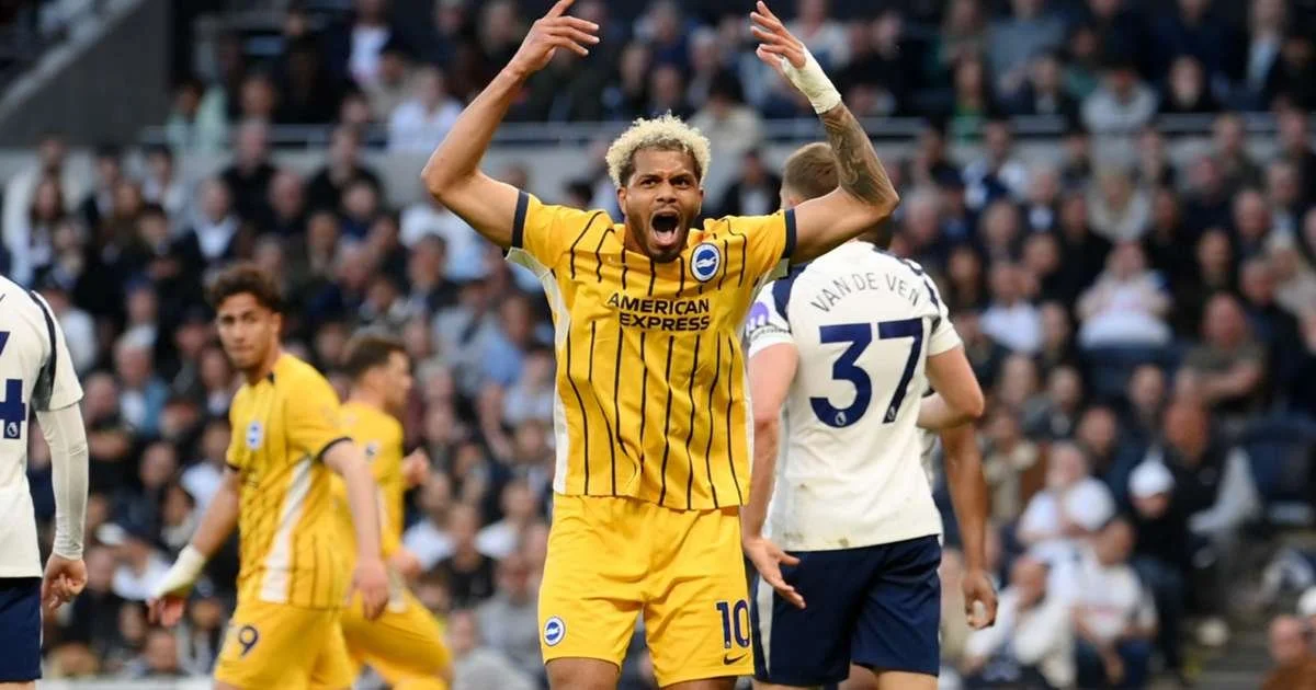 Spurs 2                                                       Brighton 2 