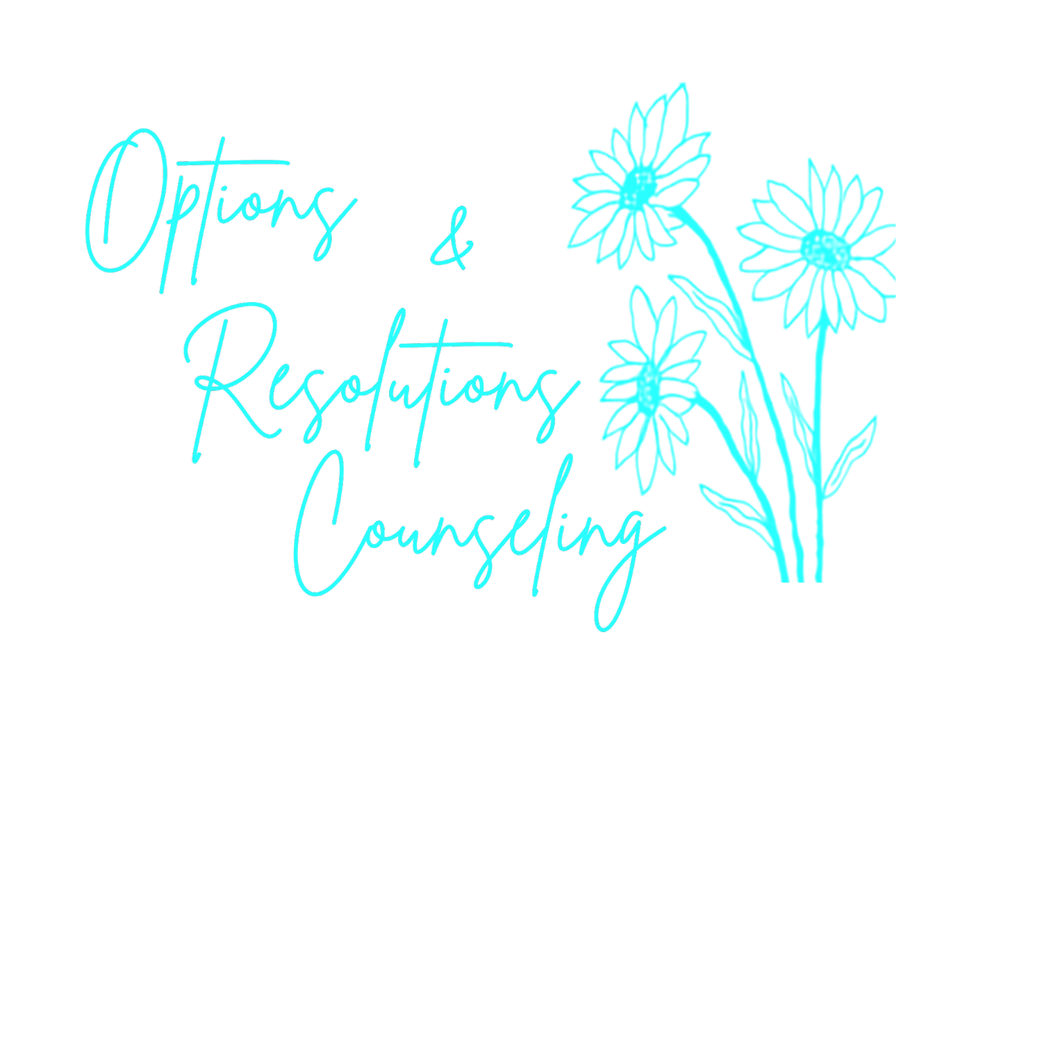 Options &amp; Resolutions Counseling