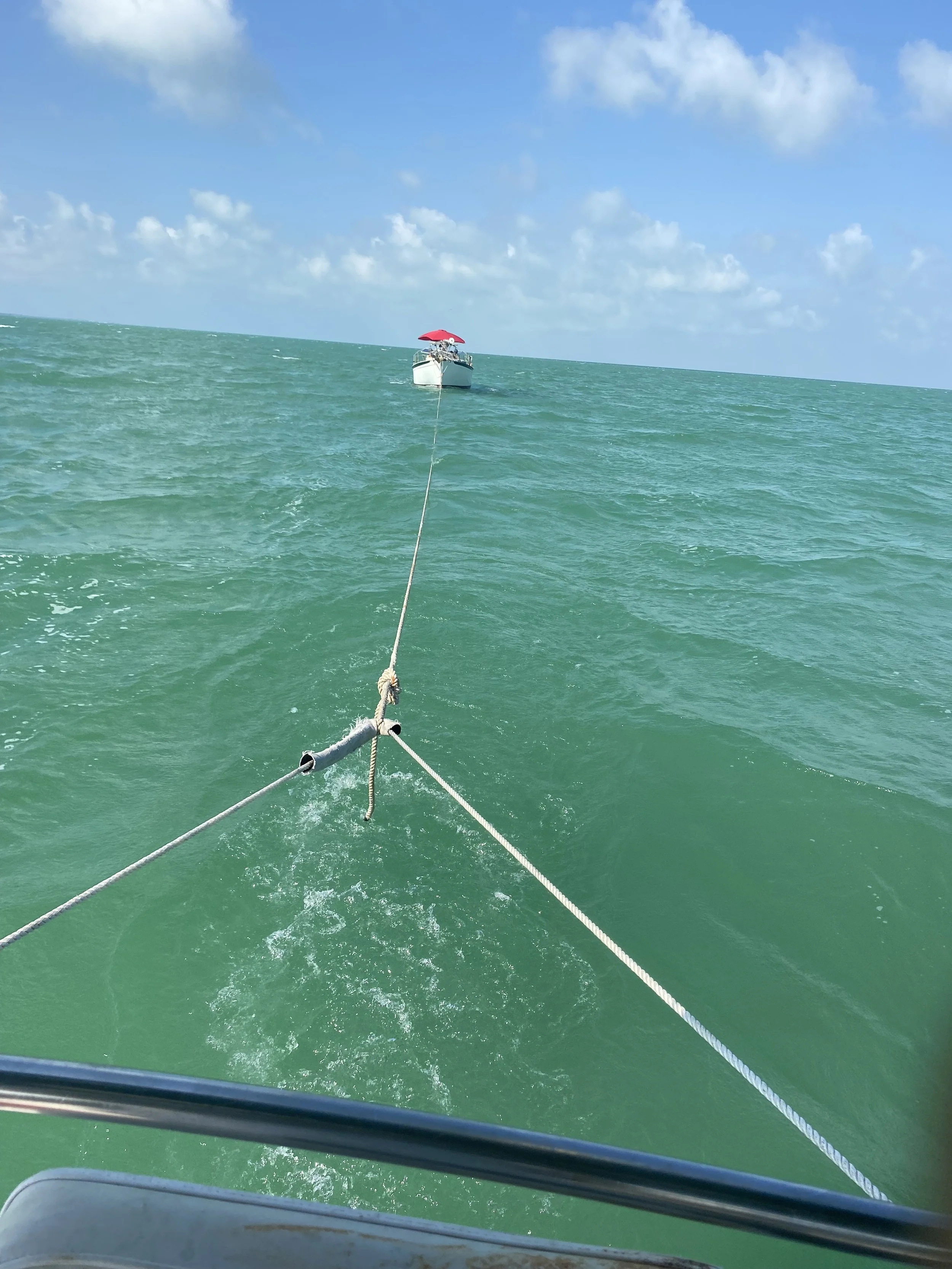 Cruisers Consultation