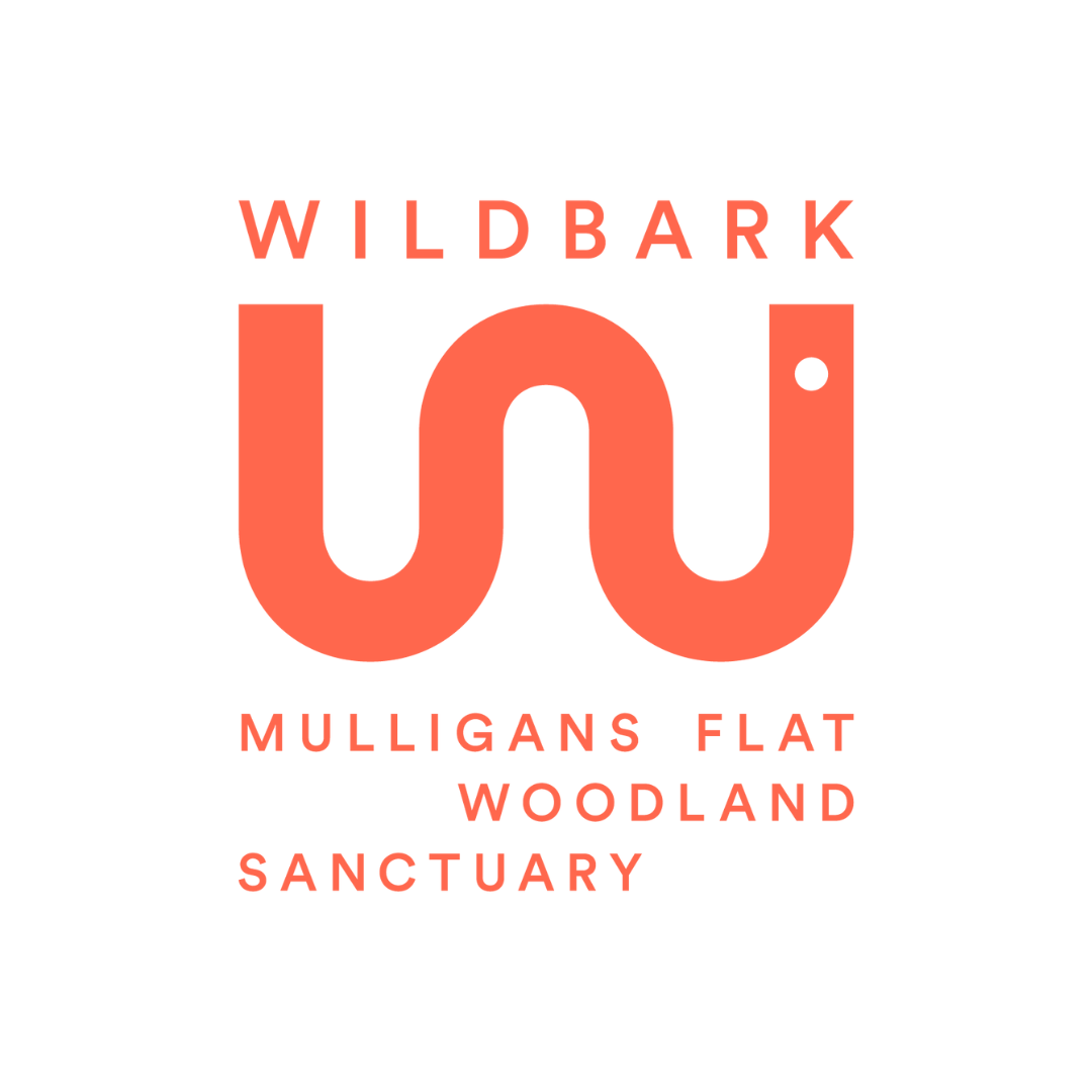 Logo for Wildbark, featuring a large orange lowercase 'w' with the words 'WILDBARK' above and 'MULLIGANS FLAT WOODLAND SANCTUARY' below in orange text.