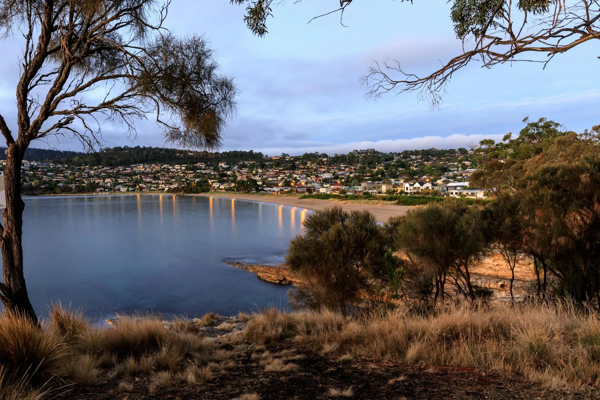 A lakeside view with trees and grasses in the foreground, a calm body of water, and a residential area on a hillside in the background at dusk.