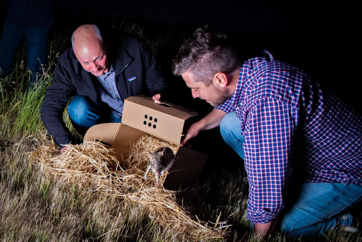 The Story Behind ‘Sharp Day’: A Legacy of Nature‑First Innovation