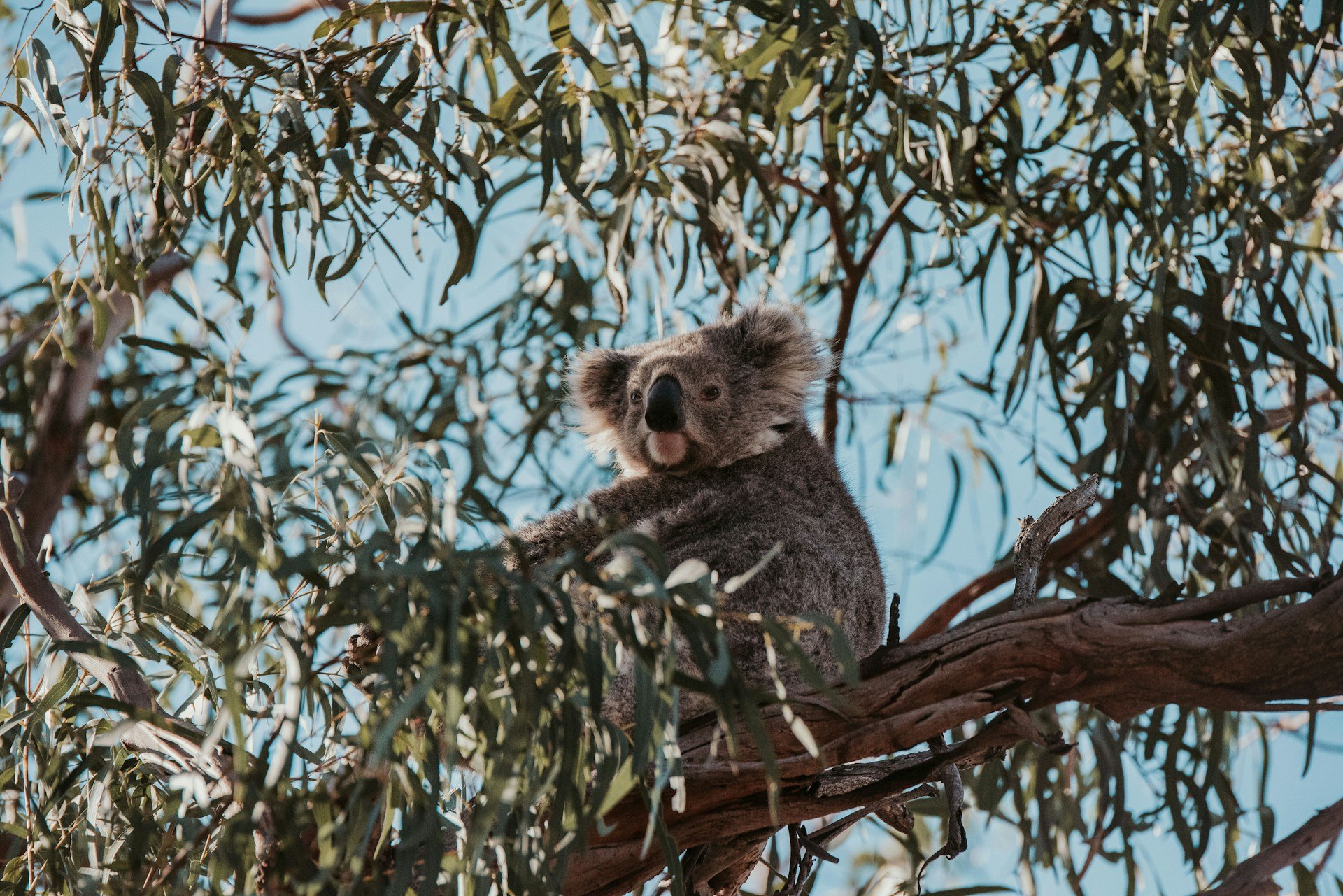 The 7Cs Framework That Drives Nature-Positive Impact