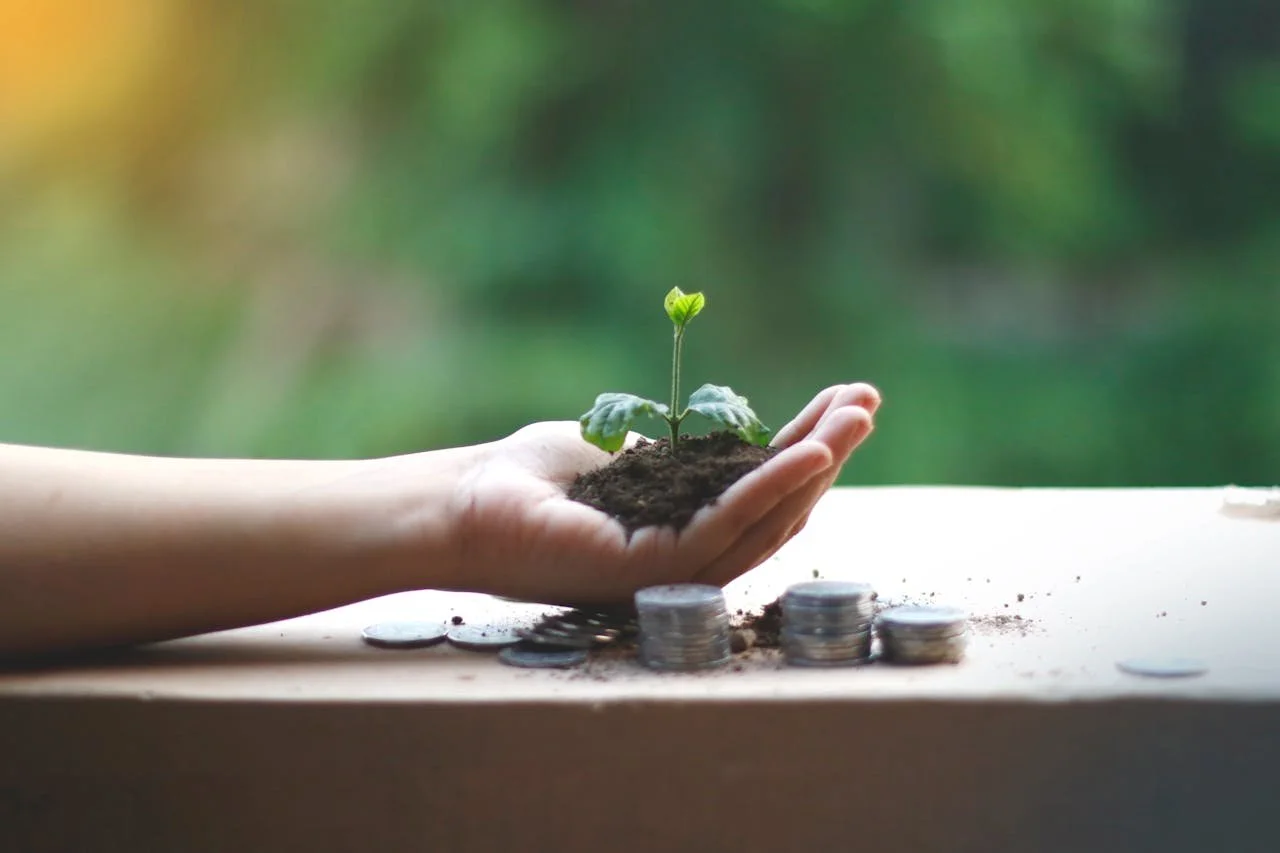 A hand holding soil with a small green seedling growing, surrounded by stacks of coins on a table against a blurred green background.