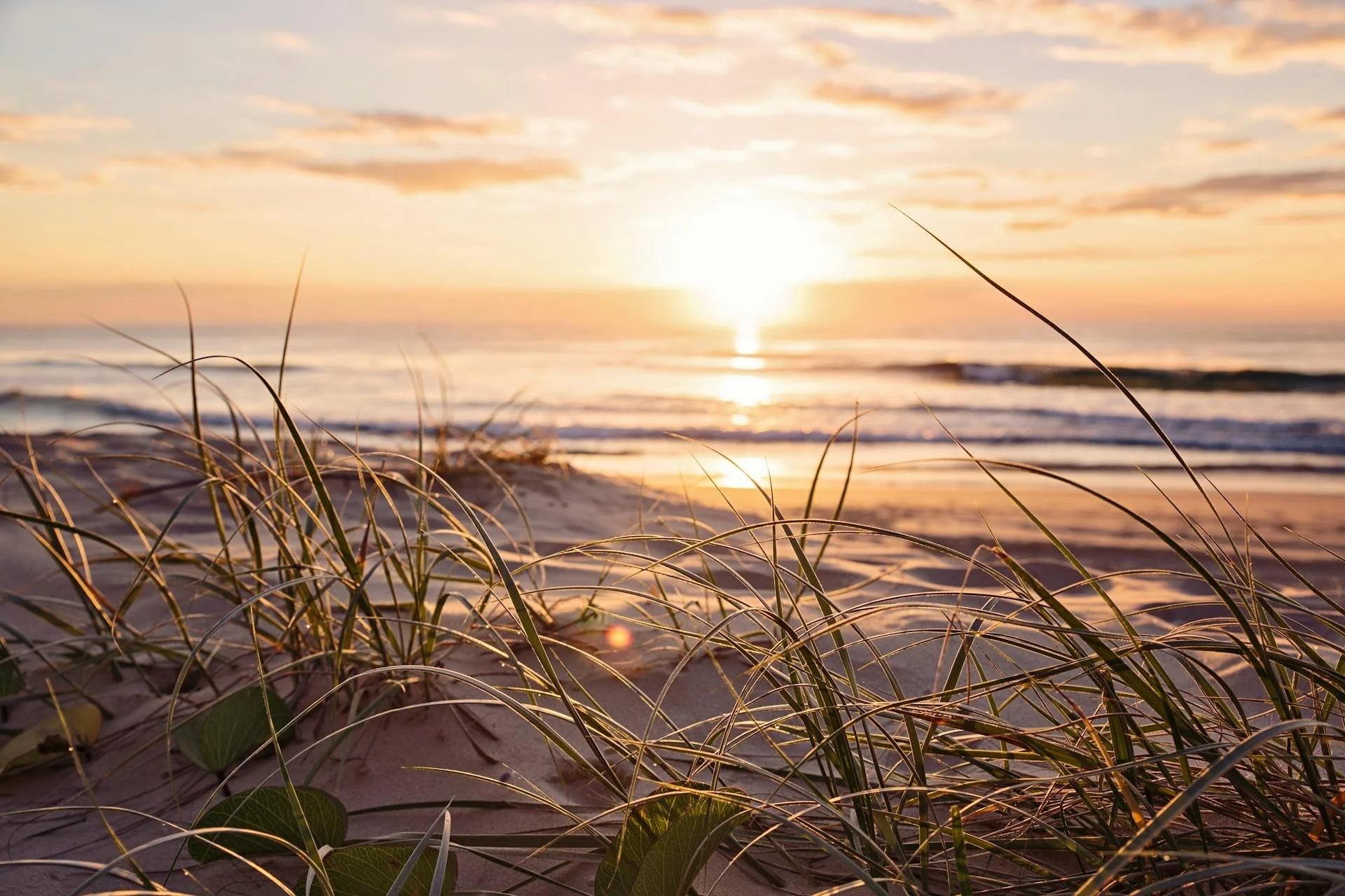 Sunset over the ocean with sandy beach and beach grass in the foreground.