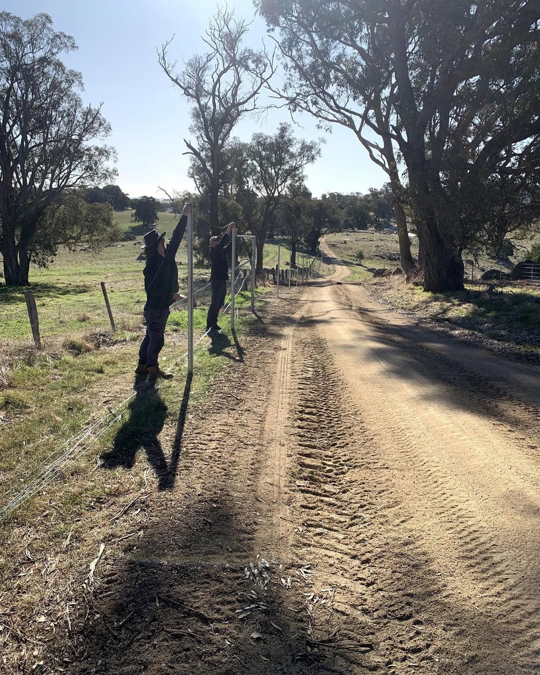 Two people standing by a wooden fence along a dirt country road, planting or fixing fencing, with large trees and a grassy landscape in the background.