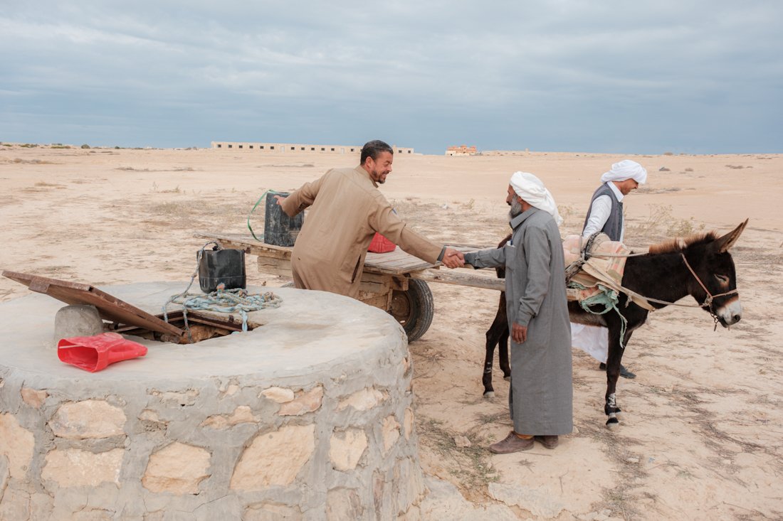 2411 Marsa Matrouh IFAD 0036.jpg