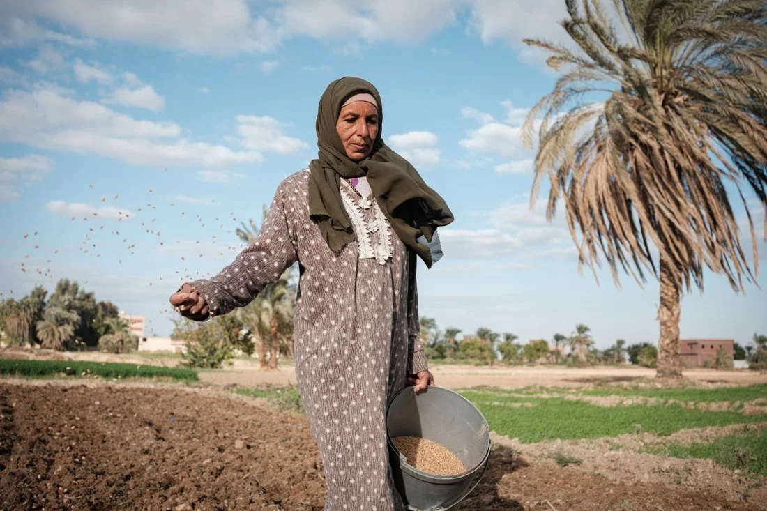 2411 Minya IFAD 0189.jpg